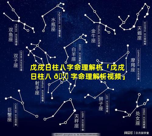 戊戌日柱八字命理解析「戊戌日柱八 🦅 字命理解析视频」